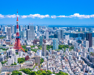 日本市場に精通